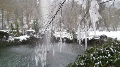 Frosty Morning