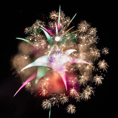Best Picture of Illuminations - Jon Hollands