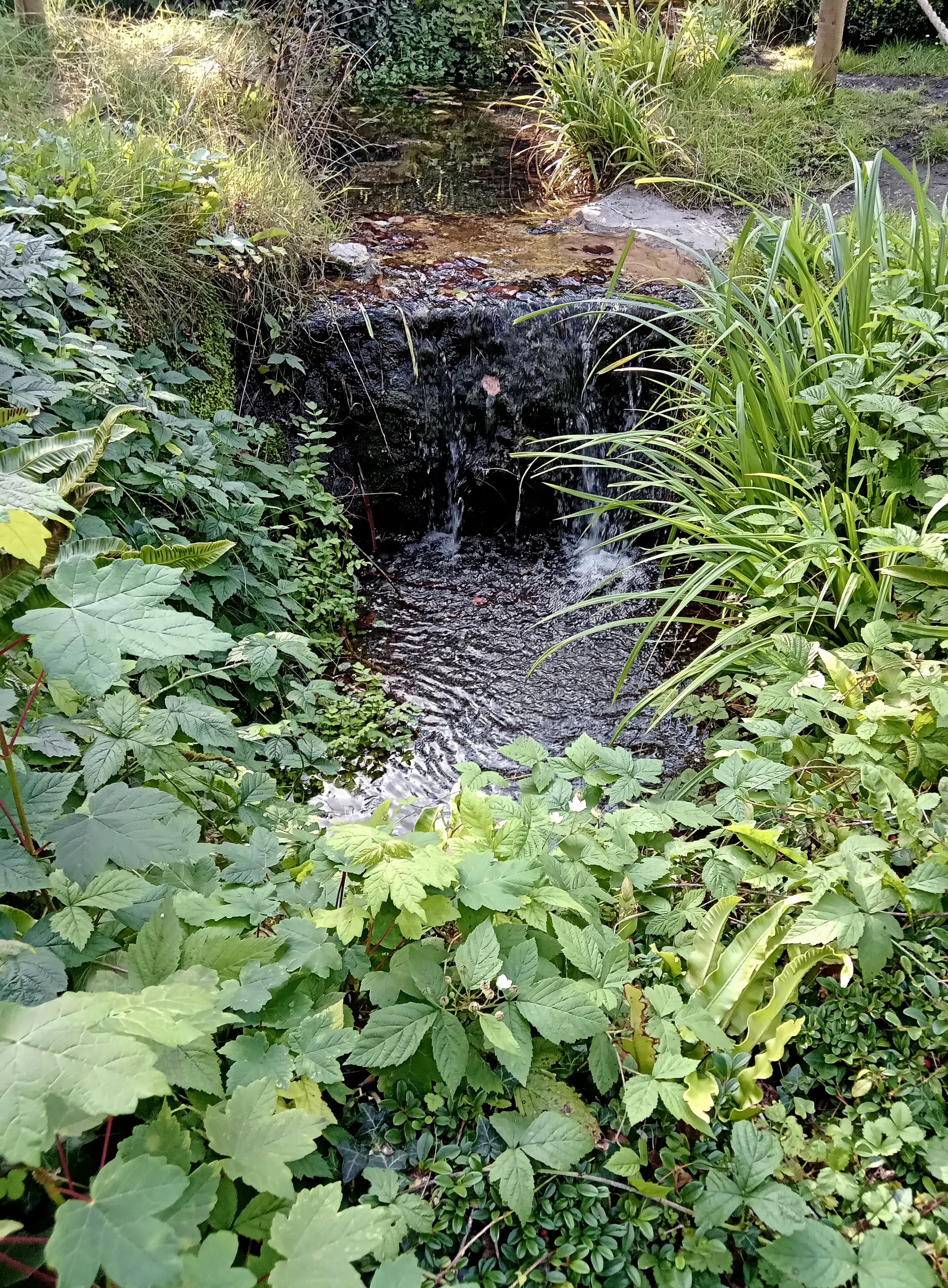 Photograph 12