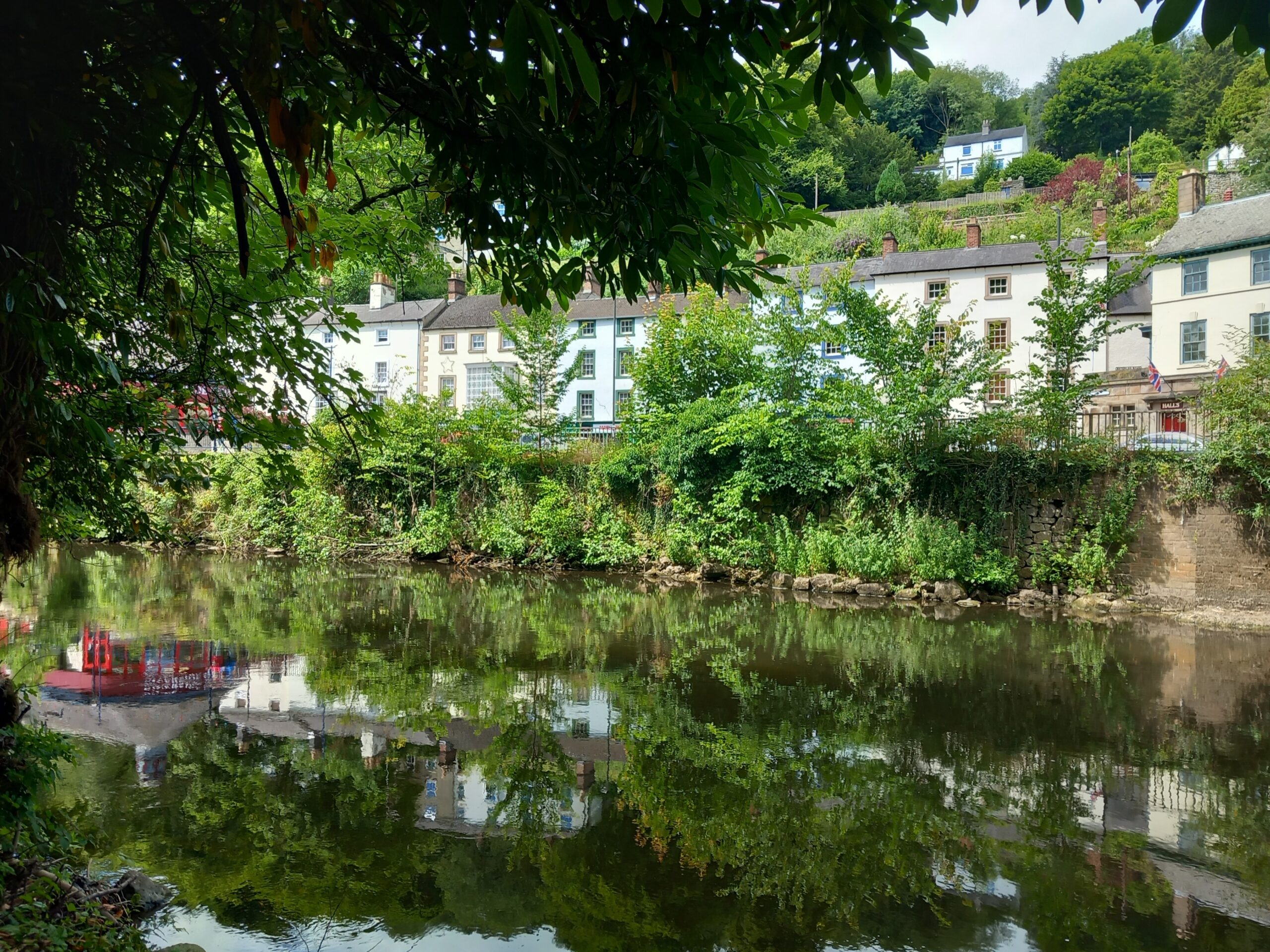 File Upload: Natures-mirror-by-Hugo-Edge Photograph 13