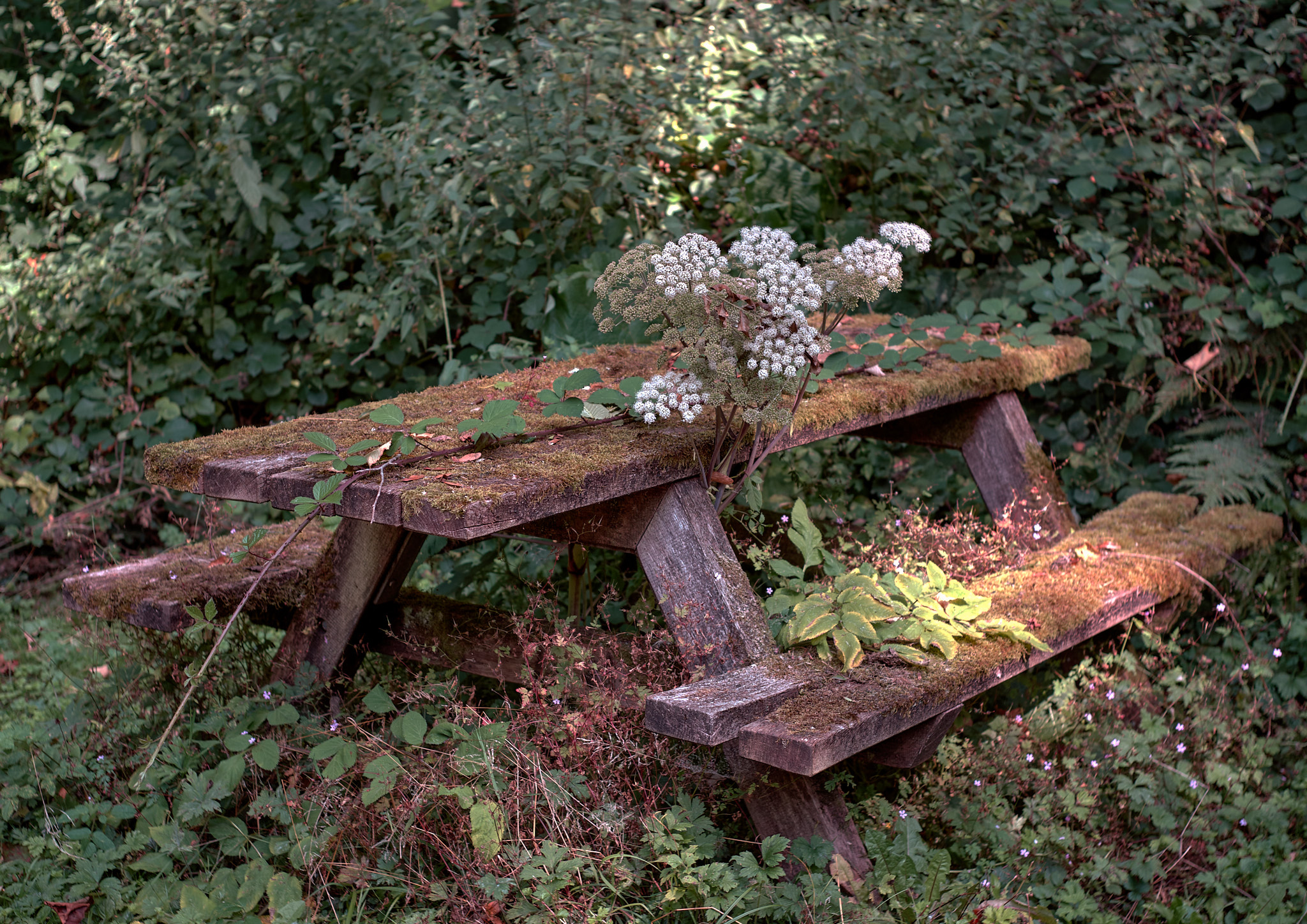 Jerzy Jaworek 2 Photograph 18